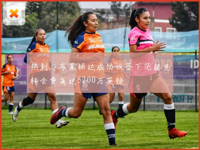 热刺与布莱顿达成协议签下范赫克转会费高达5200万英镑