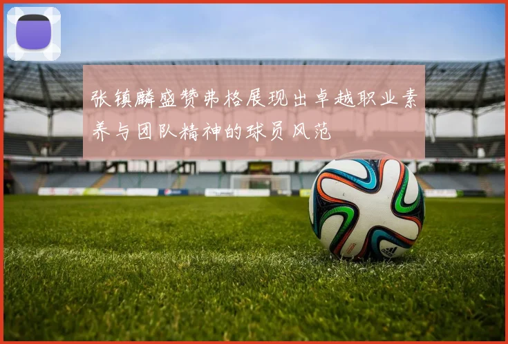 张镇麟盛赞弗格展现出卓越职业素养与团队精神的球员风范