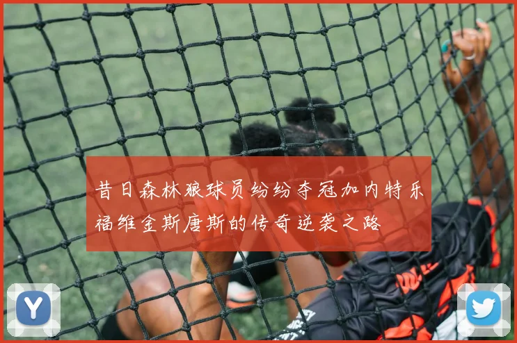 昔日森林狼球员纷纷夺冠加内特乐福维金斯唐斯的传奇逆袭之路