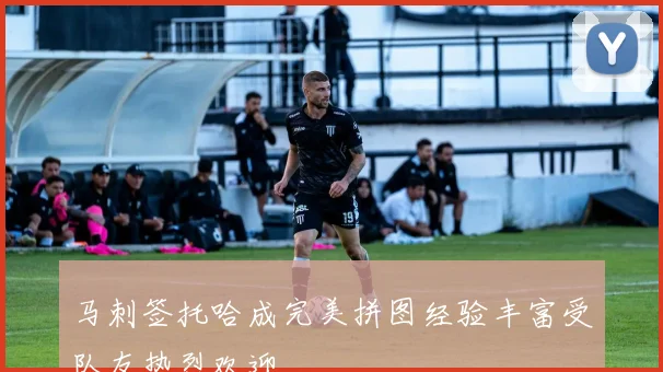 马刺签托哈成完美拼图经验丰富受队友热烈欢迎