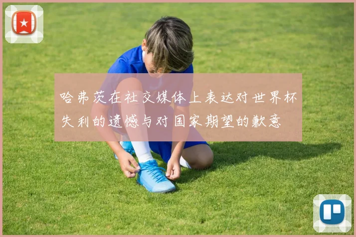哈弗茨在社交媒体上表达对世界杯失利的遗憾与对国家期望的歉意